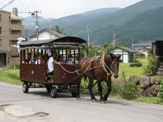 由布市